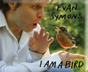 I Am A Bird
!